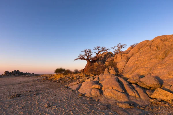 Rocas en la isla de Kubu — Foto de Stock