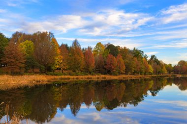 Sonbahar renkli ağaçlar gölde