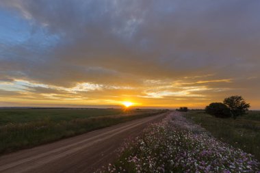 Cosmos yol günbatımı