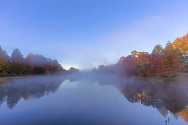 Sonbahar ağaçlar ve sis su üzerinde renkli
