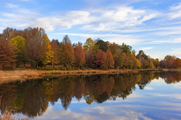 Sonbahar renkli ağaçlar yansıması