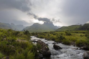 Nehir dağ akışın yağmur