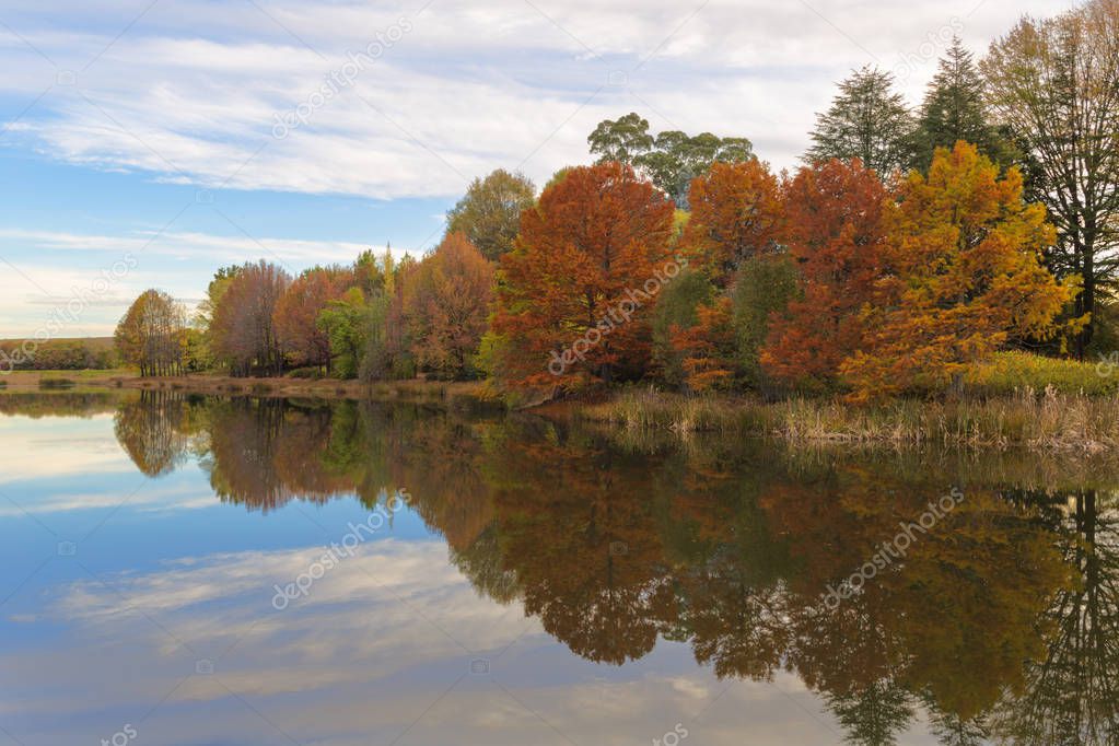 Autumn colours reflection