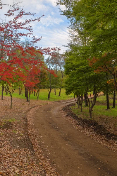 Colores del otoño —  Fotos de Stock