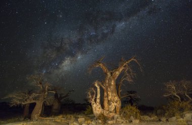 Geceleri milkyway ve baobab ağaçları