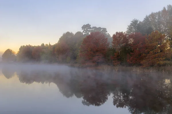 Ранним утром туман на воде — стоковое фото