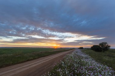 Renkli bulutlar ve evren