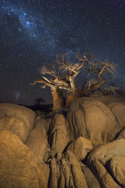 Baobabs et rochers sous la voie lactée — Photo