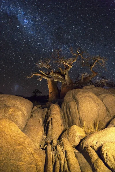 Pedras baobás e o milkyway — Fotografia de Stock
