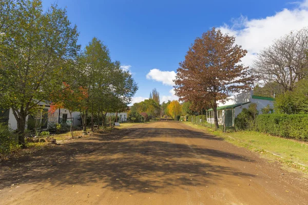 Autumn coloured trees next to the road — Stock Photo, Image