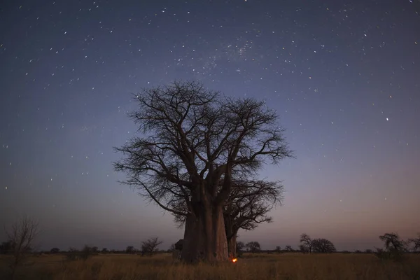 Camping sous les étoiles à Baines — Photo