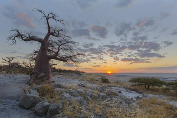 Coucher de soleil sur l'île de Kubu — Photo