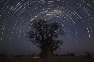 Baines kamp alanında Startrail