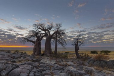 Kaya, baobabs ve bulutlar