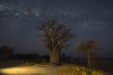 Baines kamp 1 milkyway altında