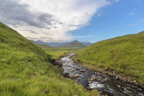 River flowing in late afternoon light — Stock Photo, Image