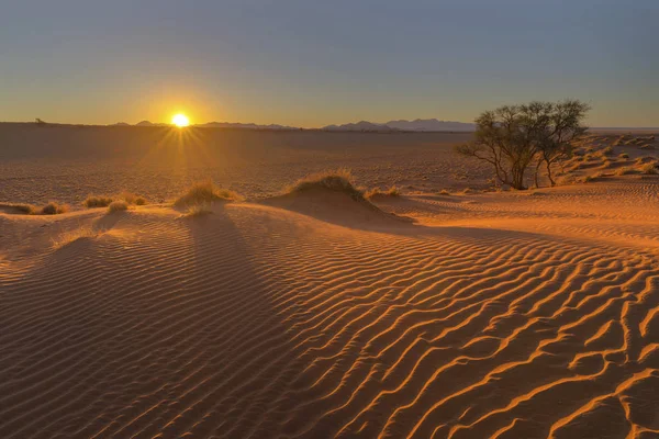 Dagens sista solstrålar på sanddynen — Stockfoto