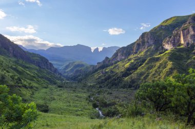 Yeşil vadide öğleden sonra ışığı