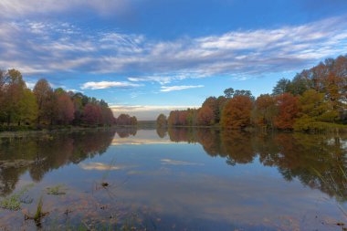 Göletin yanındaki sonbahar renkli ağaçlar