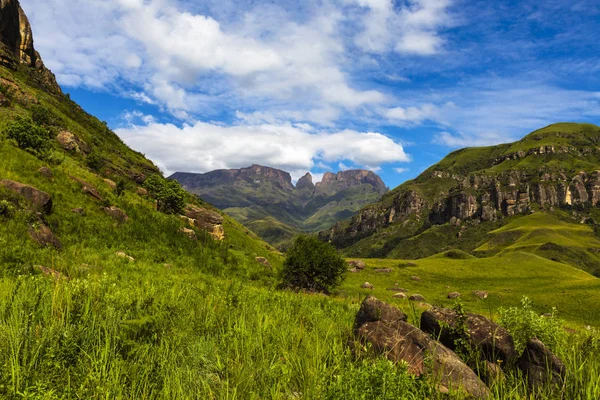 Green grass on mountain — Stock Photo, Image