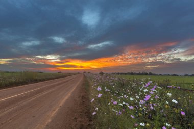 Günbatımı rengi turuncu bulutlar