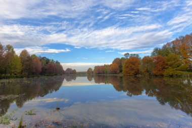Sonbahar renkli ağaçlar ve bulutlar suya yansıyor