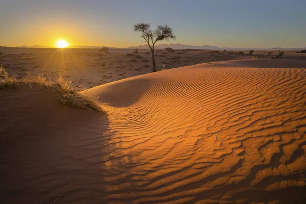 Gyllene Ljus Vid Solnedgången Sanddynen — Stockfoto