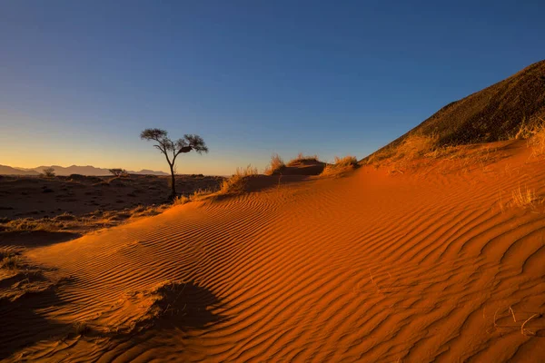 Patronen Meegevoerd Door Wind Het Zand — Stockfoto