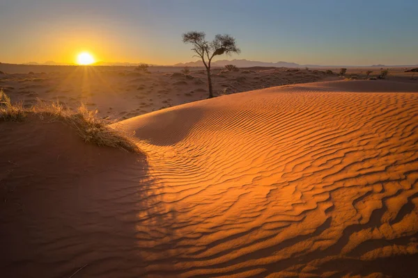 Coucher Soleil Sur Dune Sable Rouge — Photo