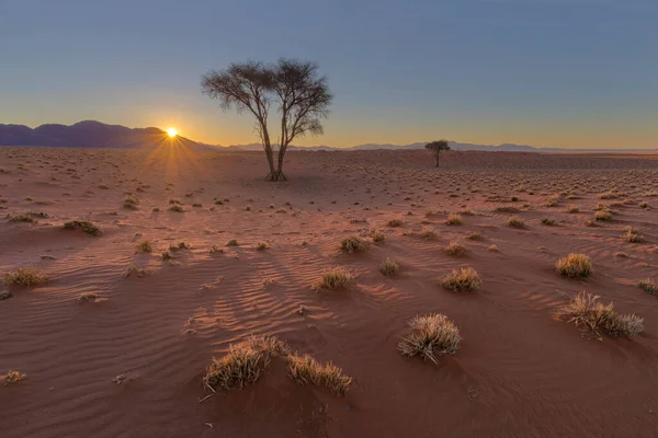 Naplemente Namib Sivatagban — Stock Fotó