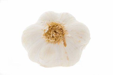 Sarımsak kafanın altı / düğmesi beyaza izole edilmiş.