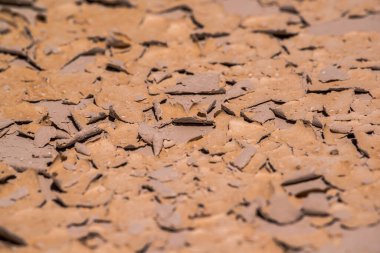 Çorak Topraklar Ulusal Parkı 'nın vahşi doğasında bulunan kurumuş çamur / kayanın güzel desenleri.