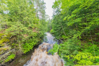 Michigan 'ın Yukarı Yarımadası' ndaki Kirpi Dağları Vahşi Yaşam Parkı 'nda güzel bir şelale. Pürüzsüz, sakin, akıcı bir su.