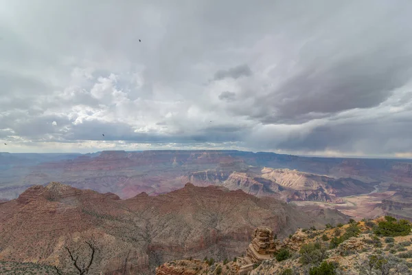 Grand Canyon National Park Partir Borda Sul Arizona Paisagem Cânion — Fotografia de Stock