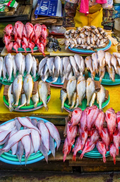 Mercado Jagalchi Mercado Peixe Pusan Busan Coreia Sul Incrível Variedade — Fotografia de Stock