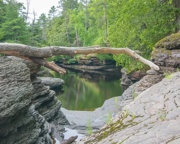 Ruhiges Wasser Felsigen Waldufer Des Flusses Porcupine Mountains Wilderness State — Stockfoto