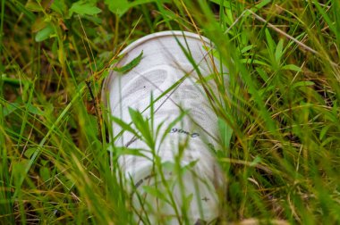 Crex Meadows Vahşi Yaşam Bölgesi 'nin çayırlarında yetişen çimlerle kaplı köpük kapları bulundu.