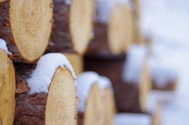 Kuzey Wisconsin 'deki Vali Knowles Eyalet Ormanı' nın keresteli ağaçlarıyla kaplı karlı odun yığını.