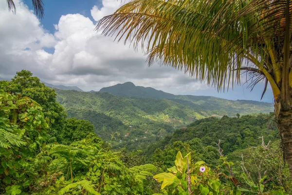 Beau Paysage Forêt Montagne Dominique Prise Avant Destruction Ouragan Maria — Photo