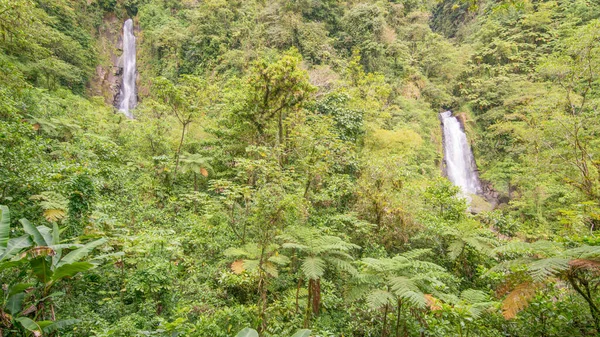 Trafalgar Falls Dominica Vor Hurrikan Maria — Stockfoto