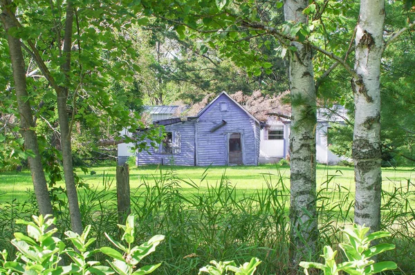 Vzdálený Opuštěný Zchátralý Dům Venkově Wisconsin Rámovaný Stromy — Stock fotografie