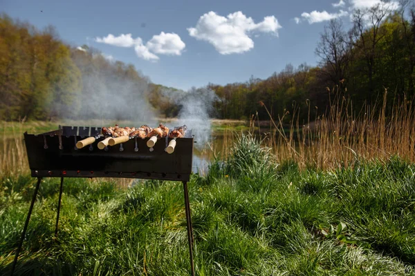 Barbacoa Parrilla Brasero Bosque Coníferas Kebab Shashlyk Picnic Bosque — Foto de Stock