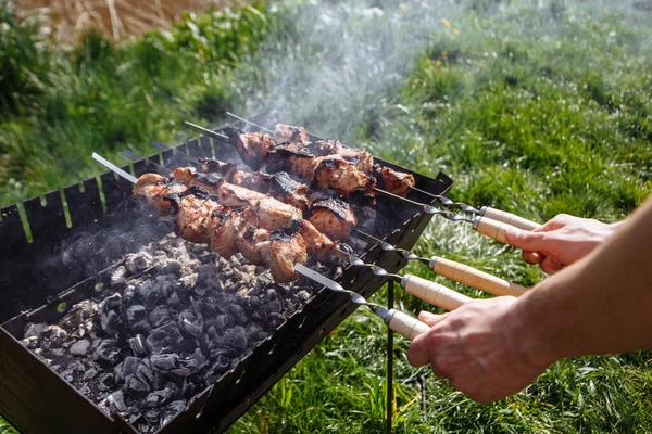 Barbecue Grill Brazier Coniferous Forest Kebab Shashlyk Picnic Forest — Stock Photo, Image