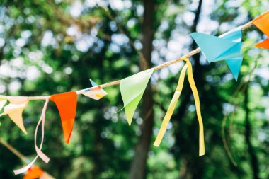 yeşil ormanda doğum günü bayrağı