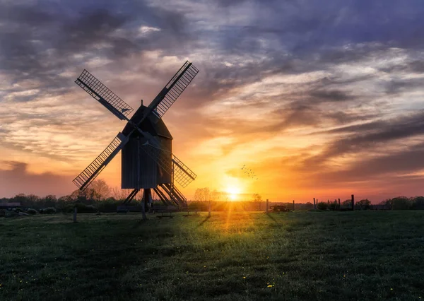 Windmill on a grass field in the sunset with birds flying around