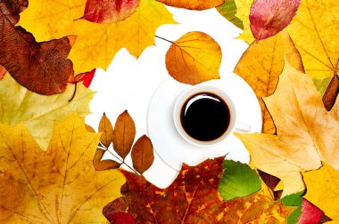 Sonbahar yapraklarında beyaz arkaplanda kahve fincanı