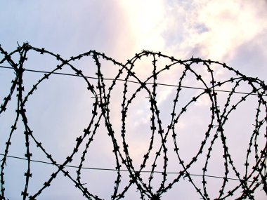 Beyaz arka planda dikenli teller var.