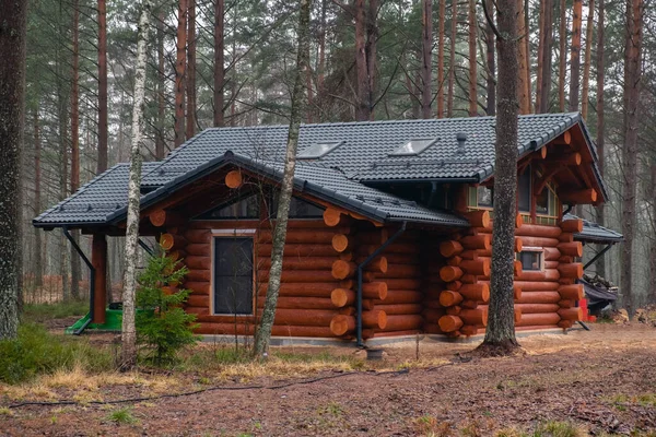 Wooden house made of logs, built in a beautiful pine forest.