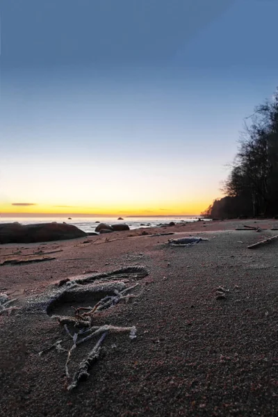 美丽得惊人的大海 沙滩上有痕迹 海岸上有冰雪 多彩的海滨风景 蔚蓝的大海和天空 与夕阳西下的晚霞 经典的蓝色郁郁葱葱的自然背景 — 图库照片