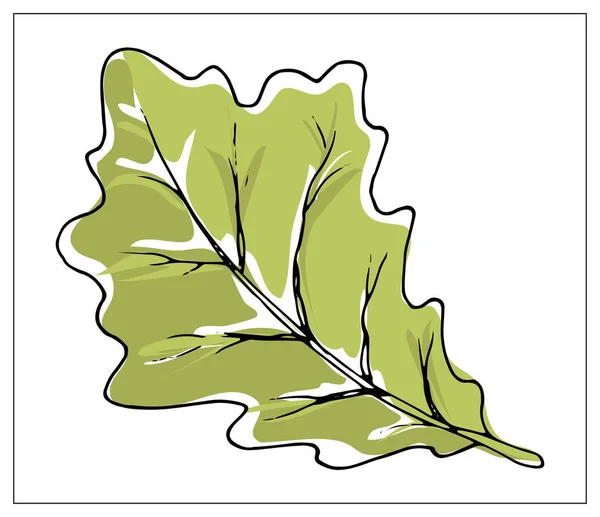 Vektorová ilustrace s dubovým listem na bílém pozadí. — Stockový vektor